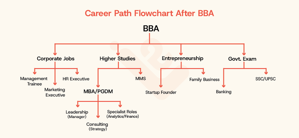 Career Path Flowchart After BBA